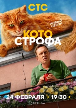 сериал Котострофа (2023) смотреть онлайн бесплатно в хорошем качестве на русском языке полностью без регистрации без рекламы