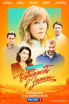 сериал Однажды в Залесье (2025) смотреть онлайн бесплатно в хорошем качестве на русском языке полностью без регистрации без рекламы