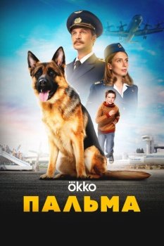 фильм Пальма (2020) смотреть онлайн бесплатно в хорошем качестве на русском языке полностью без регистрации без рекламы