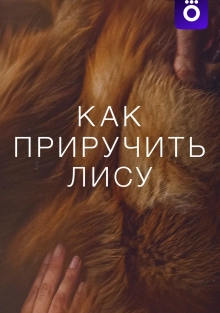 [catlist=92]мультфильм[/catlist][catlist=71,70,42,75,6,7,8,9,10,11,12,13,14,15,16,17,19]сериал[/catlist][catlist=76,77,78,79,80,81,82,83,84,85,86,87,88,89,90]фильм[/catlist] Как приручить лису (2024)